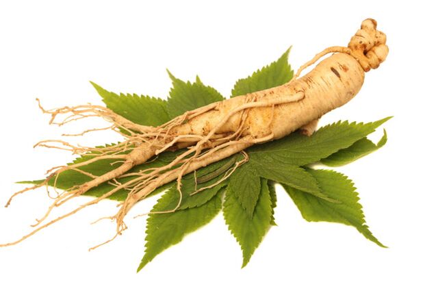 Ginseng root in the Aerosol Nicode