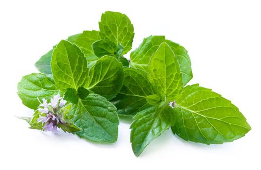 Mint leaves in Nicode spray